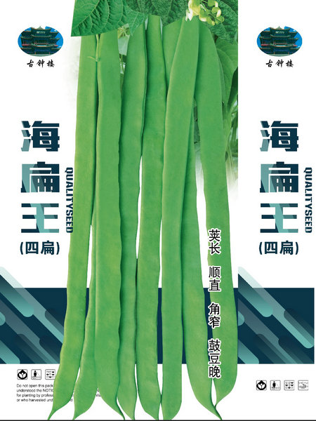 海扁王——架豆